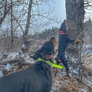 Meet your Posher, Johnny